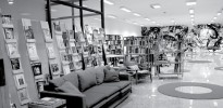 cce_sp_mayo_2011
