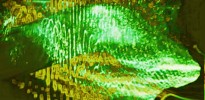 pos_digital