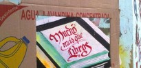 libros_cartoneros_2012