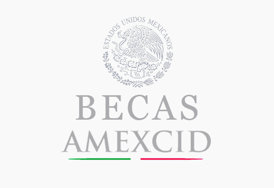 becas_estudios_mexico_2013_2014