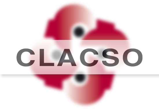 becas_clacso_-CONACYT_2014