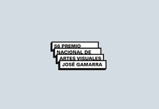 premio_nacional_artes_visuales_jose_gamarra_uruguay_junio_2014