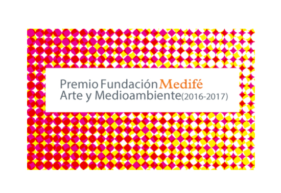 Premio_Fundacion_Medife_Arte_Medioambiente_mayo_septiembre_2016
